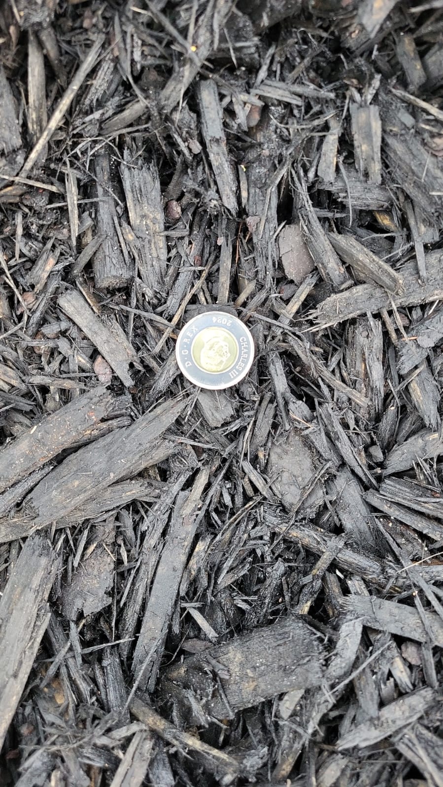Black Mulch — Edmonton landscape supply