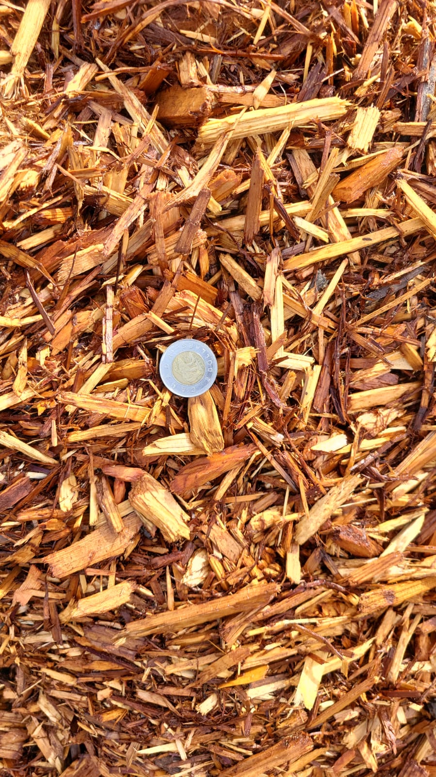 Cedar Mulch — Edmonton landscape supply